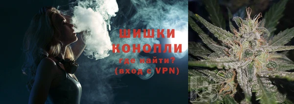 дурь Горно-Алтайск